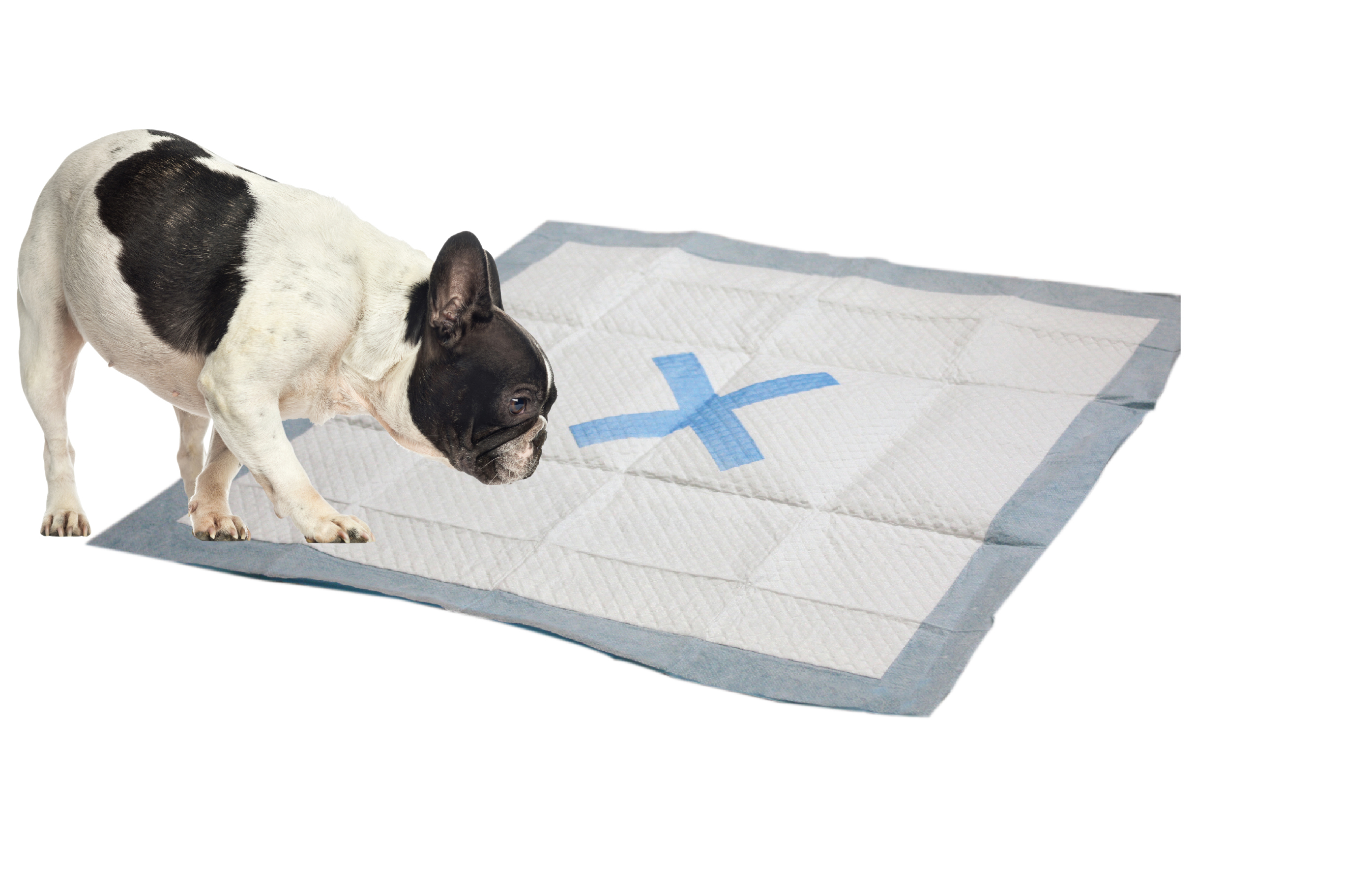 SPOT X Marks The Spot Puppy Pee Pads - 50 Count Extra Absorbent Training Pads With Adhesive Strips
