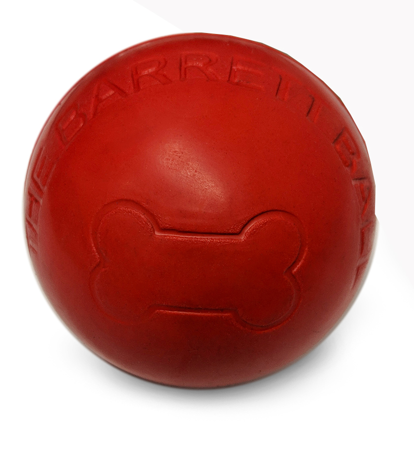 Kong Biscuit Ball Dog Toy
