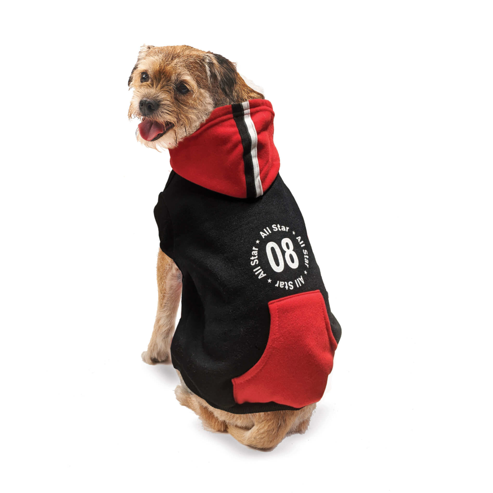 Fashion Pet Apparel Archives Ethical Pet