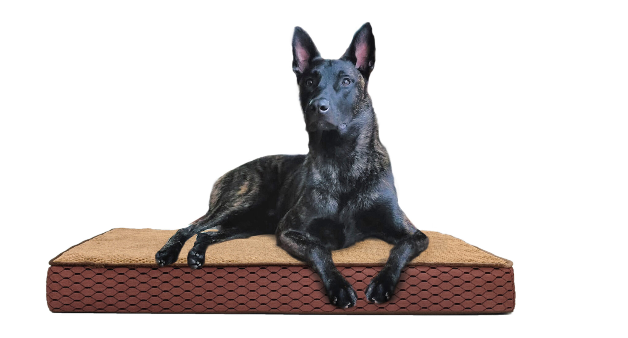 SLEEP ZONE BEDS Archives Ethical Pet